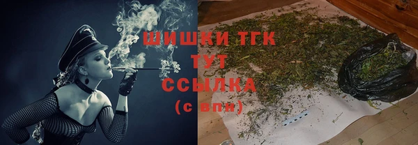 кристаллы Гусь-Хрустальный