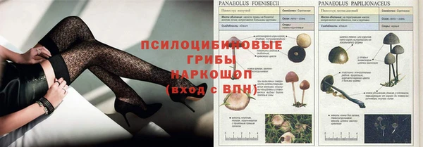 mdpv Гусев