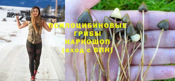 mdpv Гусев