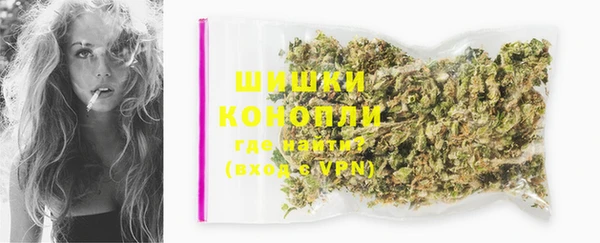 ГАЛЛЮЦИНОГЕННЫЕ ГРИБЫ Гусиноозёрск